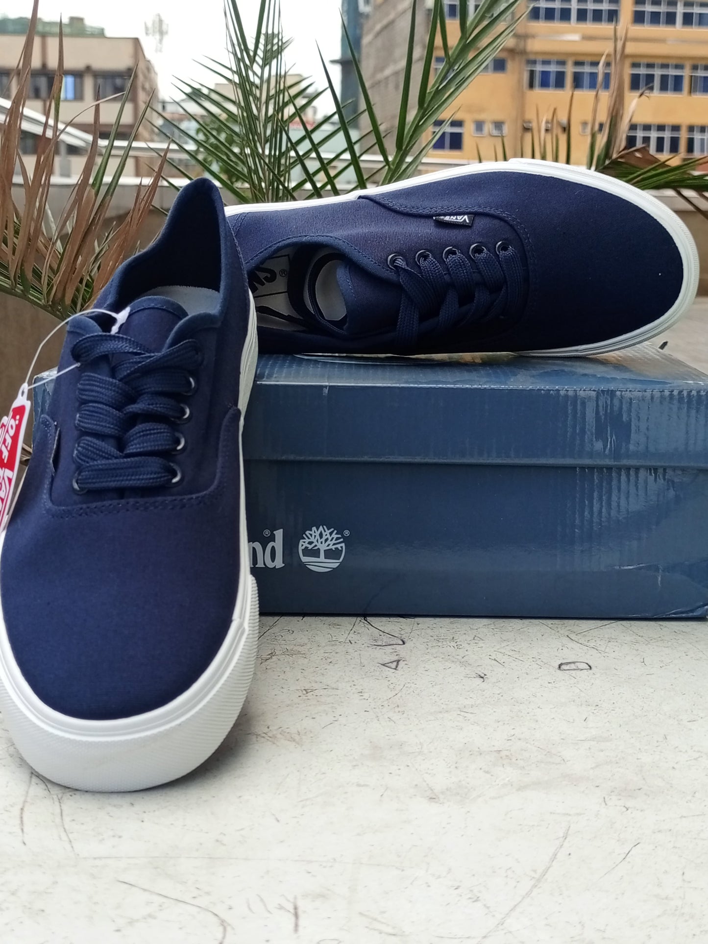 Off the Wall Vans - Navy Blue
