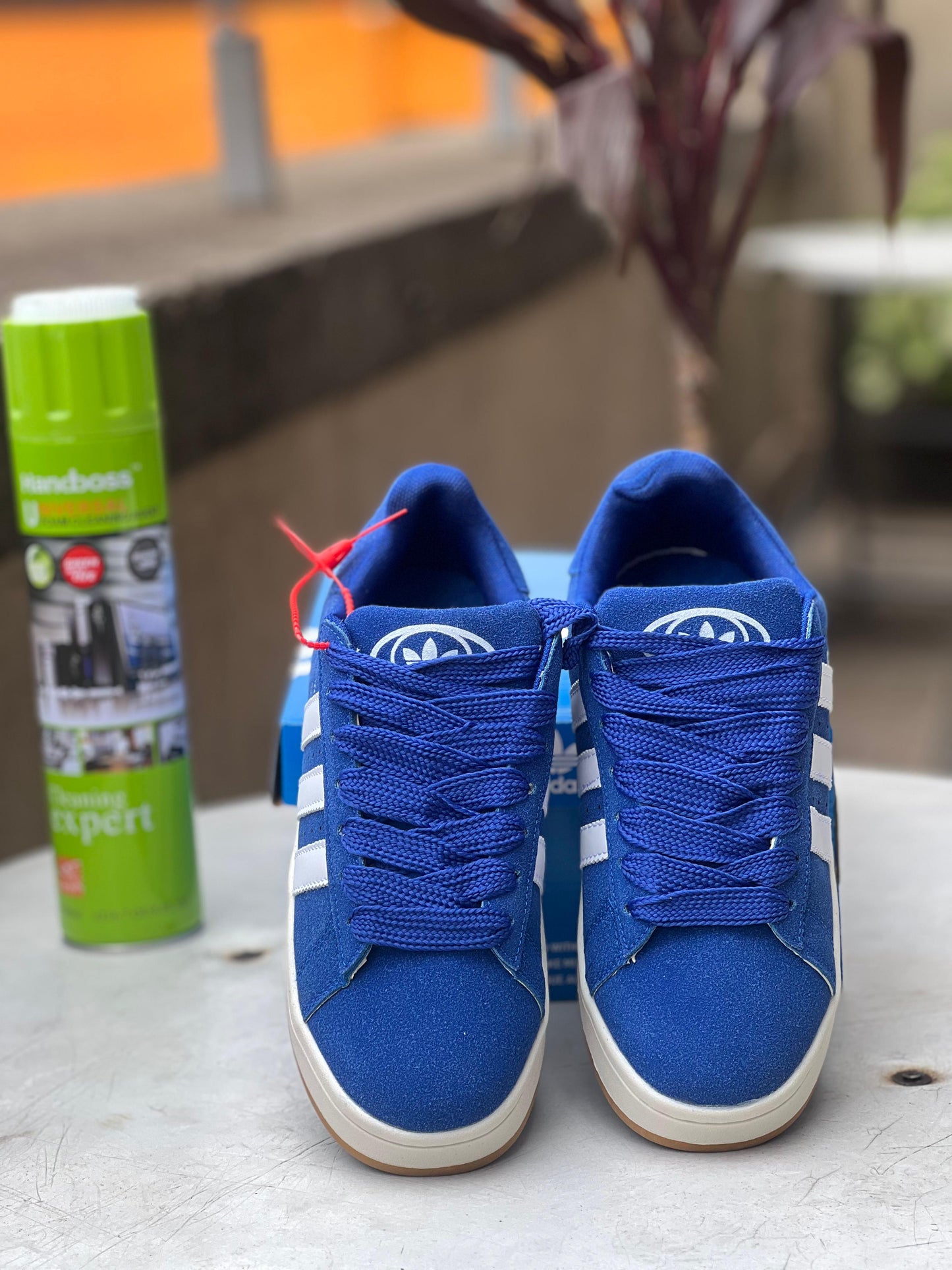 Adidas Campus Blue White