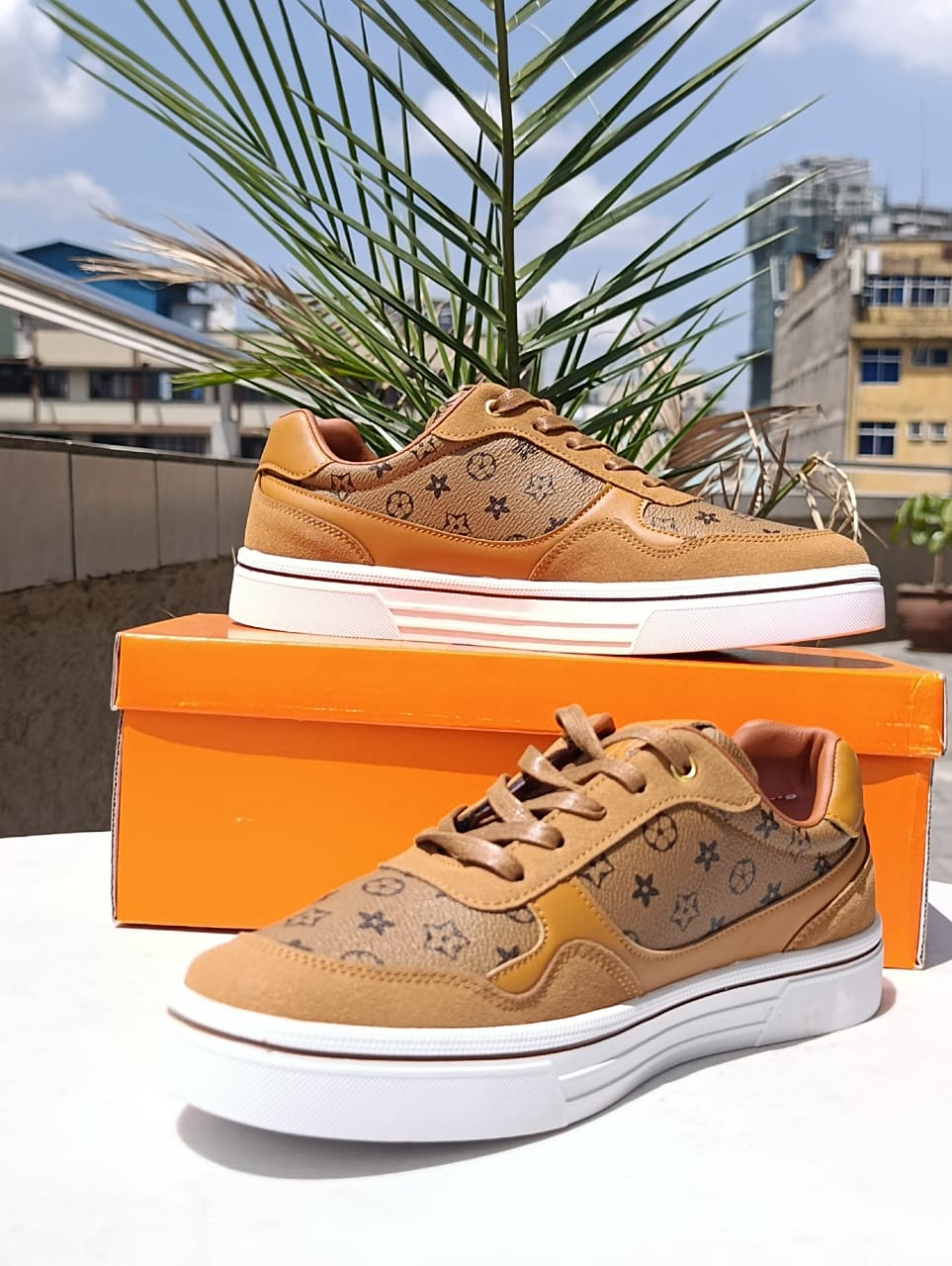 Louis Vuitton Skater Trainers LV Sneakers.