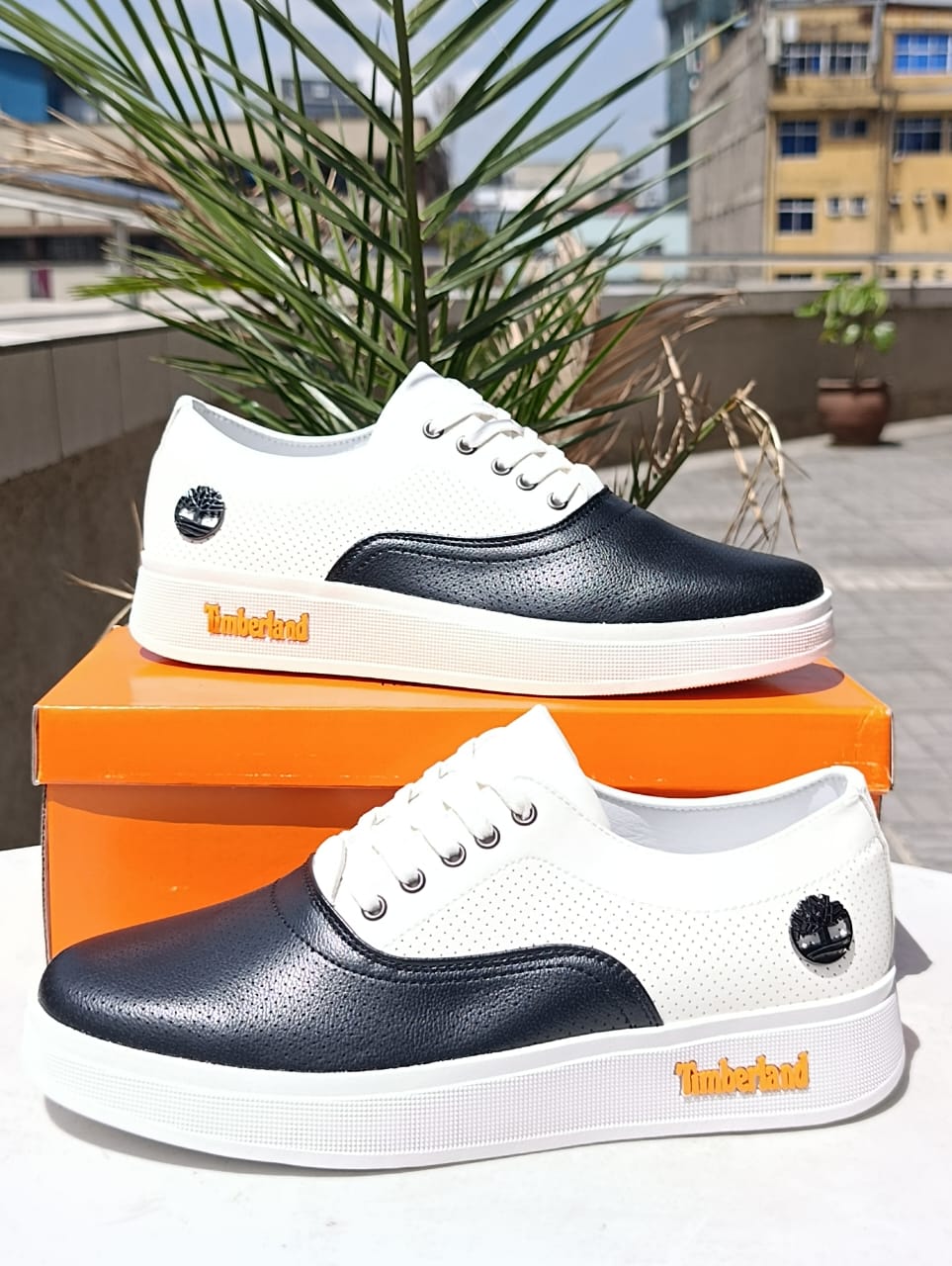 Timberland White and Black Casual Low-Cut Sneaker