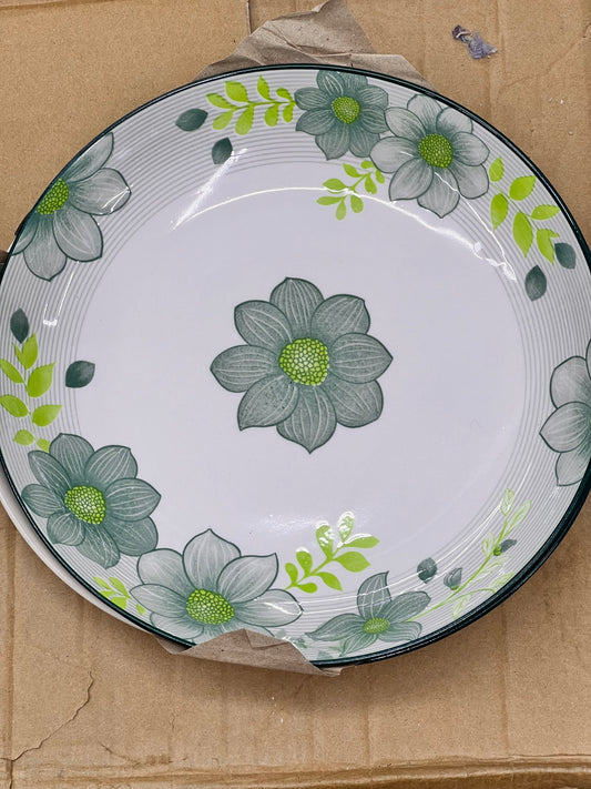 Plates (6pcs) - 001