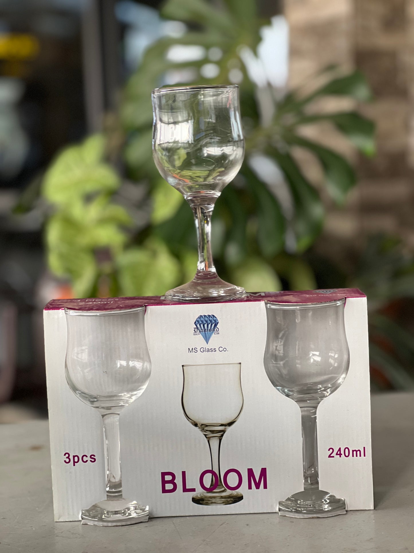 Stem Glass Set #002 - Bloom