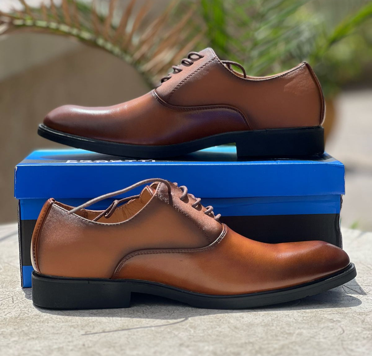 Franco Banetti Classic Leather Lace-Up Derby Dress Shoes - Brown