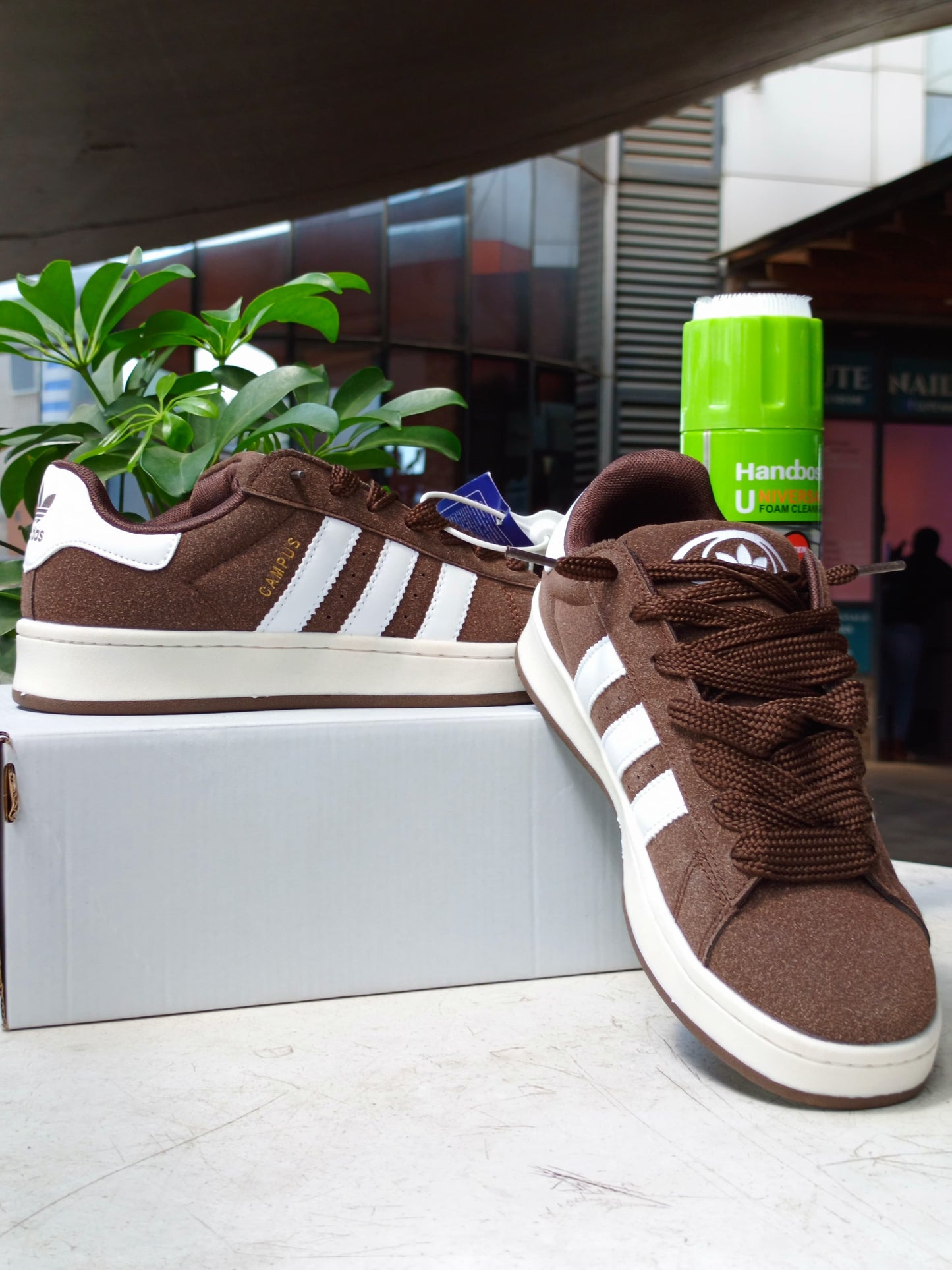 Adidas Campus - Brown/White