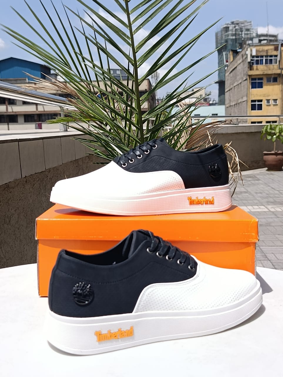 Timberland Black and White Two-Tone Casual Trainers